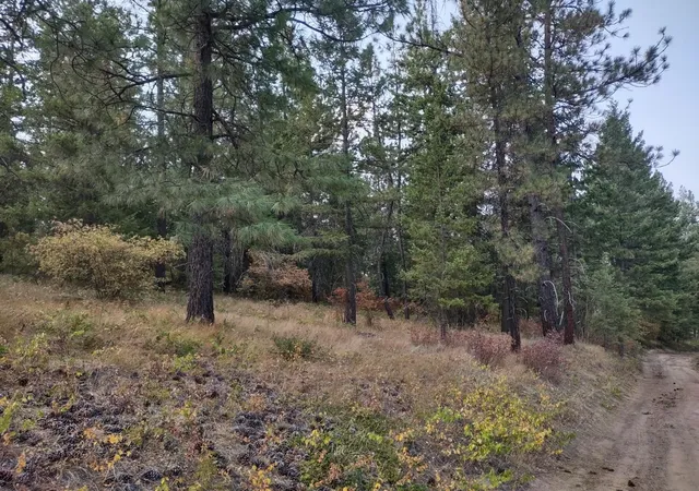 Photo 2 of Land for sale at Xx Lodgepole Ln, Elk, WA 99009 | MLS# 202623124 | Listing updated on 2026-10-08