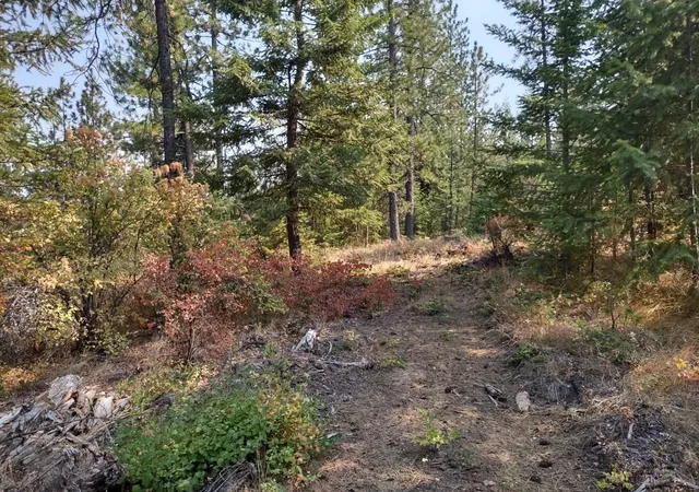 Photo 3 of Land for sale at Xx Lodgepole Ln, Elk, WA 99009 | MLS# 202623124 | Listing updated on 2026-10-08