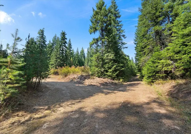 Photo 3 of Land for sale at 221 Veit Springs Ln, Newport, WA 99156 | MLS# 202623440 | Listing updated on 2026-09-15