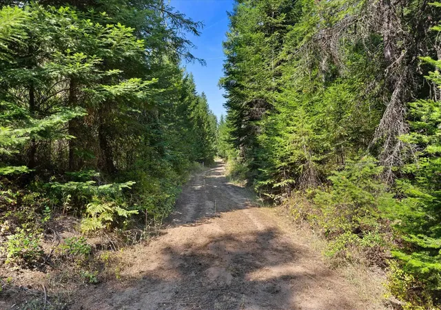 Photo 3 of Land for sale at 221 Veit Springs Ln, Newport, WA 99156 | MLS# 202623440 | Listing updated on 2026-09-15