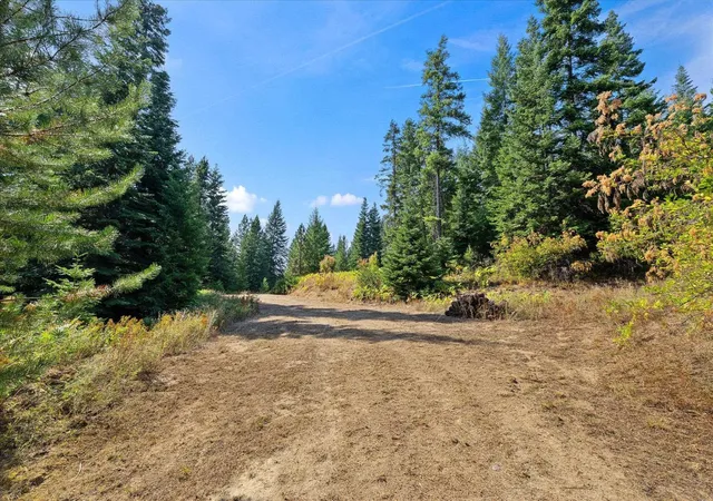 Photo 4 of Land for sale at 221 Veit Springs Ln, Newport, WA 99156 | MLS# 202623440 | Listing updated on 2026-09-15