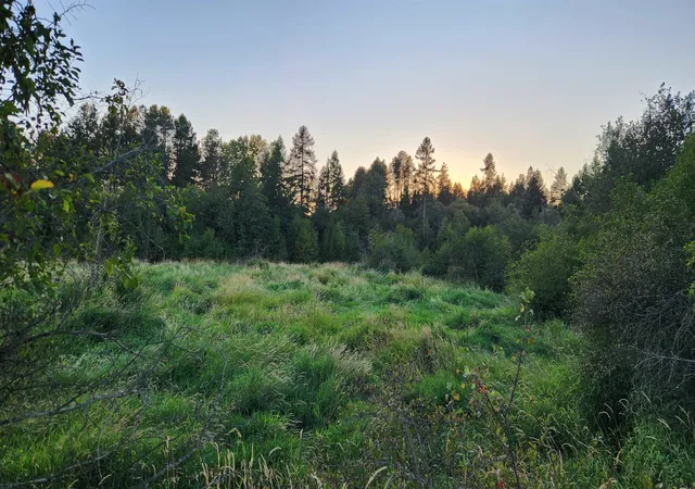Land for sale at 0 W Enoch Rd, Deer Park, WA 99006 | MLS# 202623835