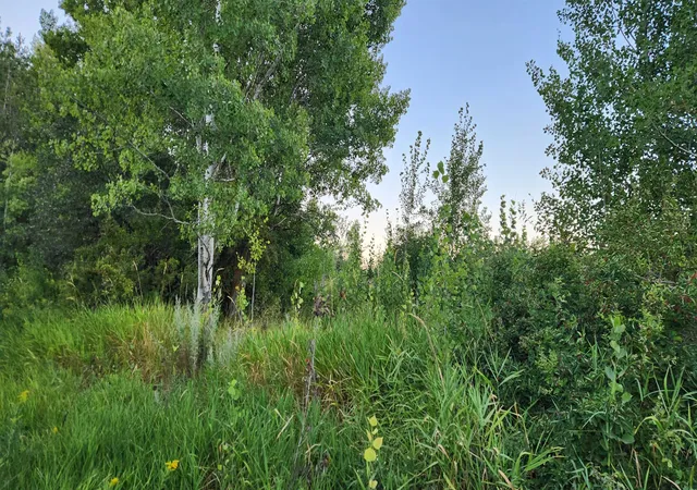 Photo 1 of Land for sale at 0 W Enoch Rd, Deer Park, WA 99006 | MLS# 202623835 | Listing updated on 2026-09-12