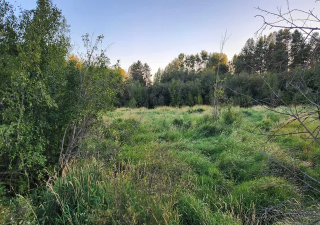Photo 2 of Land for sale at 0 W Enoch Rd, Deer Park, WA 99006 | MLS# 202623835 | Listing updated on 2026-09-12