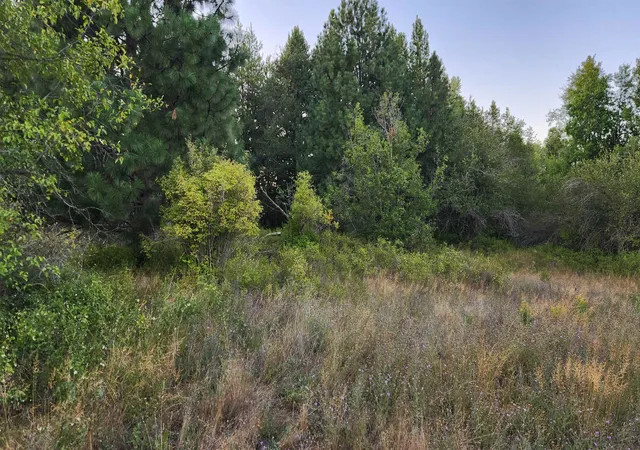Photo 4 of Land for sale at 0 W Enoch Rd, Deer Park, WA 99006 | MLS# 202623835 | Listing updated on 2026-09-12