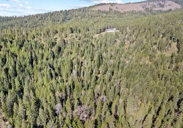 Photo 2 of Land for sale at 12703 S Alpine Fern Ln, Rockford, WA 99030 | MLS# 202623874 | Listing updated on 2026-10-01