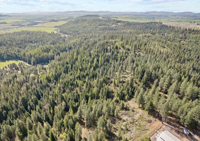 Photo 3 of Land for sale at 12703 S Alpine Fern Ln, Rockford, WA 99030 | MLS# 202623874 | Listing updated on 2026-10-01