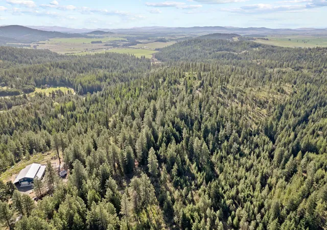 Photo 4 of Land for sale at 12703 S Alpine Fern Ln, Rockford, WA 99030 | MLS# 202623874 | Listing updated on 2026-10-01