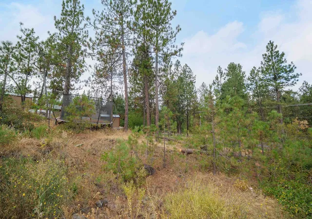 Land for sale at 3410 S Sipko Ln, Spokane, WA 99224 | MLS# 202623894