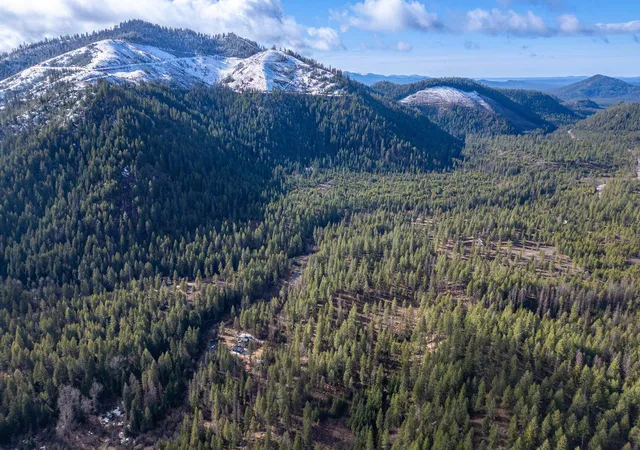 Photo 3 of Land for sale at 41xx Grouse Crk Rd, Loon Lake, WA 99148 | MLS# 202623911 | Listing updated on 2026-09-15