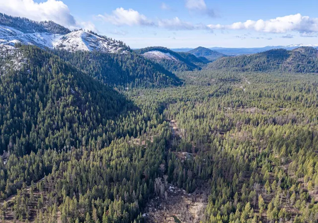 Photo 4 of Land for sale at 41xx Grouse Crk Rd, Loon Lake, WA 99148 | MLS# 202623911 | Listing updated on 2026-09-15
