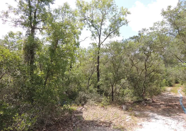 Photo 1 of Sale Pending at 5551 Sw 103rd Ct, Cedar Key, FL 32625 | MLS# OM678912 | Listing updated on 2026-10-08