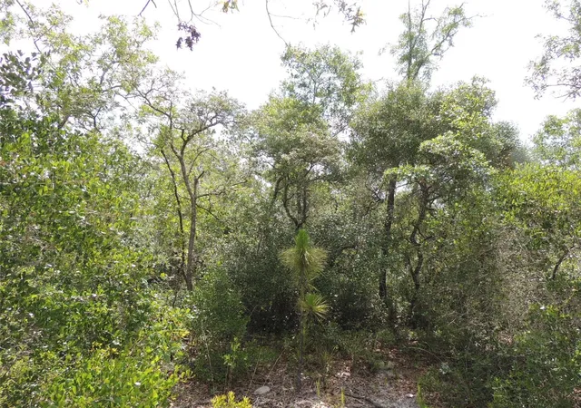 Photo 3 of Sale Pending at 5551 Sw 103rd Ct, Cedar Key, FL 32625 | MLS# OM678912 | Listing updated on 2026-10-08