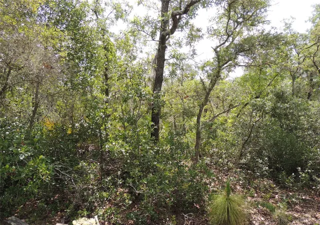 Photo 4 of Sale Pending at 5551 Sw 103Rd Ct, Cedar Key, FL 32625 | MLS# OM678912 | Listing updated on 2026-10-08