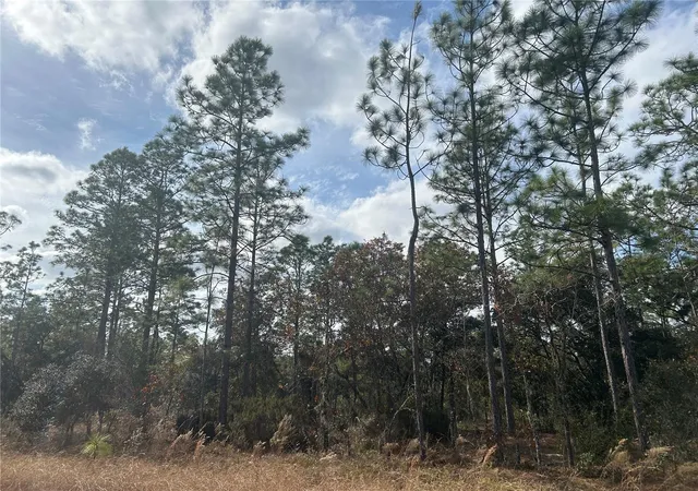 Photo 1 of Sale Pending at Tbd Ne 149th Court, Williston, FL 32696 | MLS# OM691045 | Listing updated on 2026-09-10