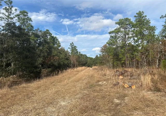 Photo 2 of Sale Pending at Tbd Ne 149th Court, Williston, FL 32696 | MLS# OM691045 | Listing updated on 2026-09-10