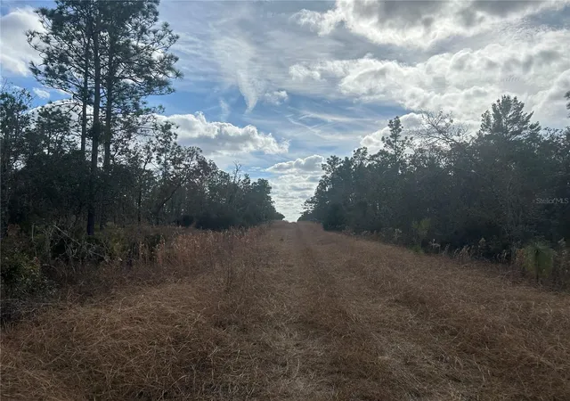 Photo 3 of Sale Pending at Tbd Ne 149th Court, Williston, FL 32696 | MLS# OM691045 | Listing updated on 2026-09-10