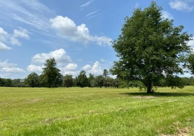 Photo 1 of Sale Pending at Tbd Nw 14th St   Lot 3, Ocala, FL 34482 | MLS# OM692328 | Listing updated on 2026-09-09