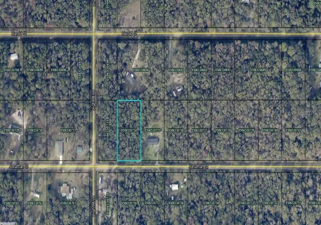 Photo 3 of Land for sale at 4590 Jonathan St, Hastings, FL 32145 | MLS# FC307939 | Listing updated on 2026-09-11