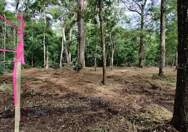 Photo 2 of Land for sale at 5212 Nw 19th Street, Gainesville, FL 32653 | MLS# GC529968 | Listing updated on 2026-09-15