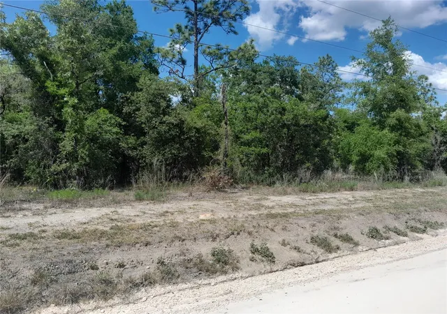Photo 3 of Land for sale at Tbd Ne 63rd Place, Williston, FL 32696 | MLS# OM700811 | Listing updated on 2026-09-14