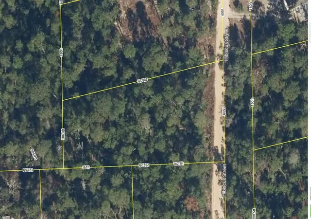 Land for sale at 107 Hibiscus St, POMONA PARK, FL 32181 | MLS# G5098262