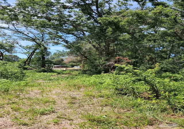 Photo 2 of Land for sale at 7624 Anno St, Tampa, FL 33625 | MLS# O6326129 | Listing updated on 2026-10-04