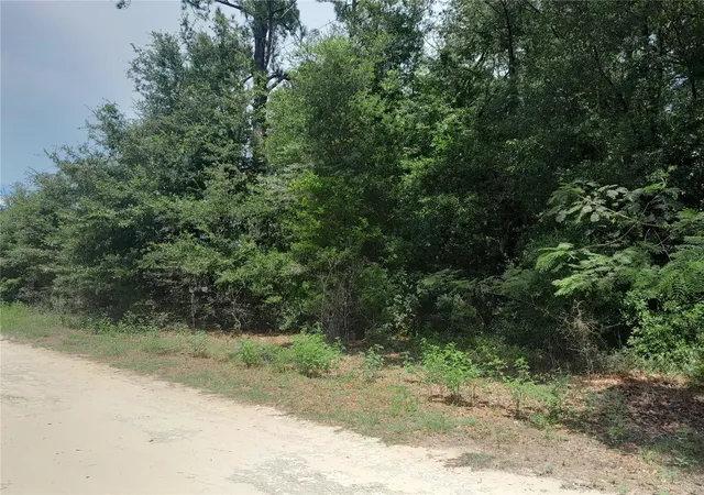 Photo 1 of Land for sale at Se 108th Ter, Morriston, FL 32668 | MLS# OM708138 | Listing updated on 2026-10-08
