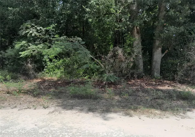 Photo 3 of Land for sale at Se 108th Ter, Morriston, FL 32668 | MLS# OM708138 | Listing updated on 2026-10-08