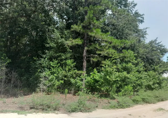 Photo 3 of Land for sale at Se 108Th Ter, Morriston, FL 32668 | MLS# OM708138 | Listing updated on 2026-10-08
