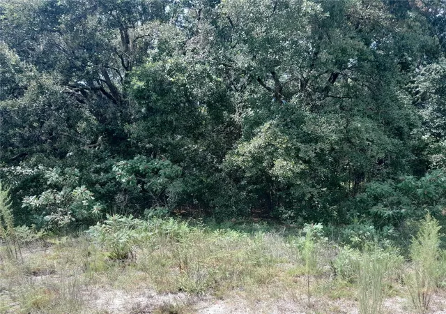 Photo 4 of Land for sale at Se 108Th Ter, Morriston, FL 32668 | MLS# OM708138 | Listing updated on 2026-10-08