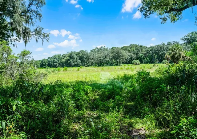 Land for sale at 7466 Vivian Ln, ORLANDO, FL 32818 | MLS# O6339244