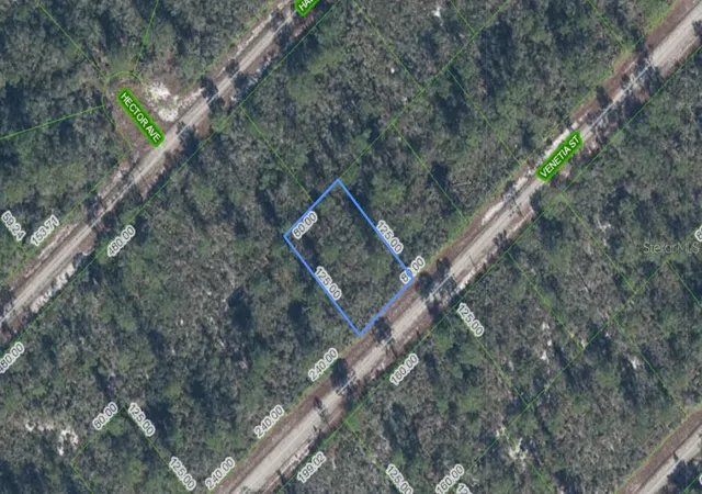 Land for sale at 3535 Venetia St, LAKE PLACID, FL 33852 | MLS# S5135042