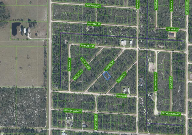 Photo 2 of Land for sale at 3535 Venetia St, Lake Placid, FL 33852 | MLS# S5135042 | Listing updated on 2026-10-02