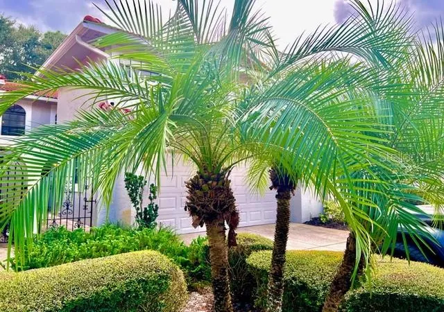 Photo 4 of Townhouse for sale at 8214 Ambrose Cvs Way, Orlando, FL 32819 | MLS# O6357956 | Listing updated on 2026-09-29