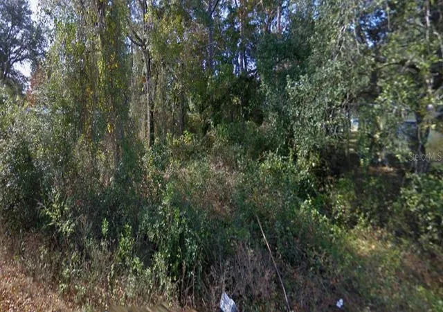 Land for sale at SE 172nd Avenue, SILVER SPRINGS, FL 34488 | MLS# O6361374