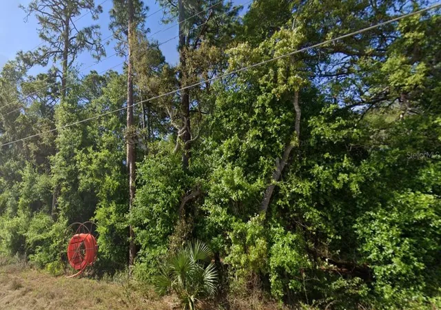 Photo 3 of Land for sale at Se 17th Lane, Ocklawaha, FL 32179 | MLS# O6363358 | Listing updated on 2026-09-14