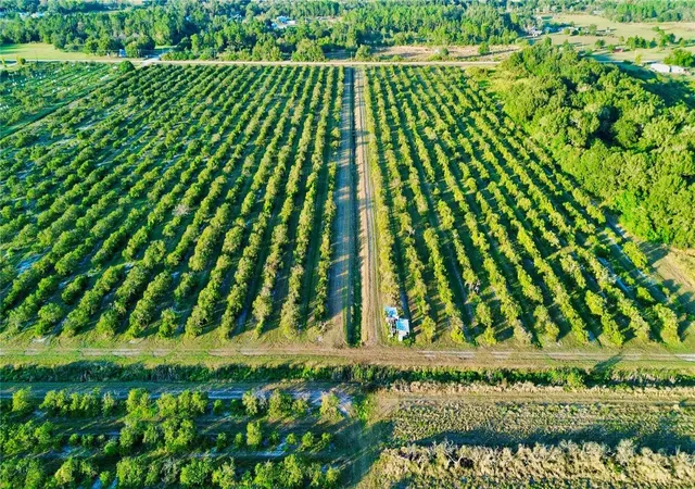 Photo 1 of Land for sale at 2233 Hicks Rd, Lorida, FL 33857 | MLS# L4957951 | Listing updated on 2026-10-05