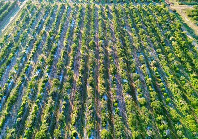 Photo 3 of Land for sale at 2233 Hicks Rd, Lorida, FL 33857 | MLS# L4957951 | Listing updated on 2026-10-05
