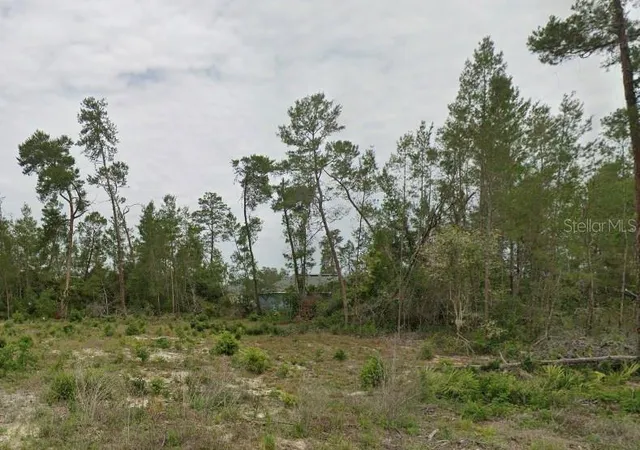 Photo 1 of Land for sale at Tbd Southwest 30th Ave Rd, Ocala, FL 34473 | MLS# O6369220 | Listing updated on 2026-09-11