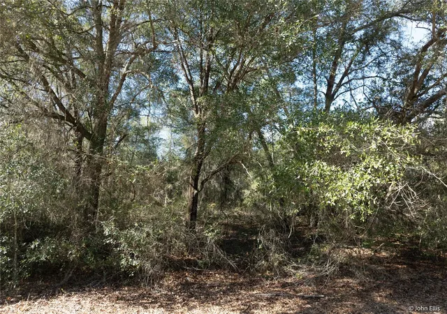 Photo 4 of Sale Pending at 7644 Huron Ct, Keystone Heights, FL 32656 | MLS# GC536632 | Listing updated on 2026-09-14