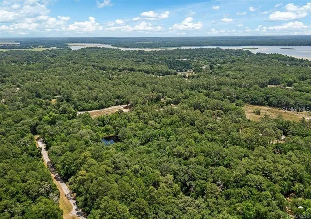 Photo 3 of Land for sale at 11151 Highway 40 E, Inglis, FL 34449 | MLS# OM718201 | Listing updated on 2026-09-15