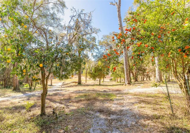 Photo 2 of Sale Pending at 2095 Stone Rd, Deland, FL 32720 | MLS# V4947257 | Listing updated on 2026-09-10