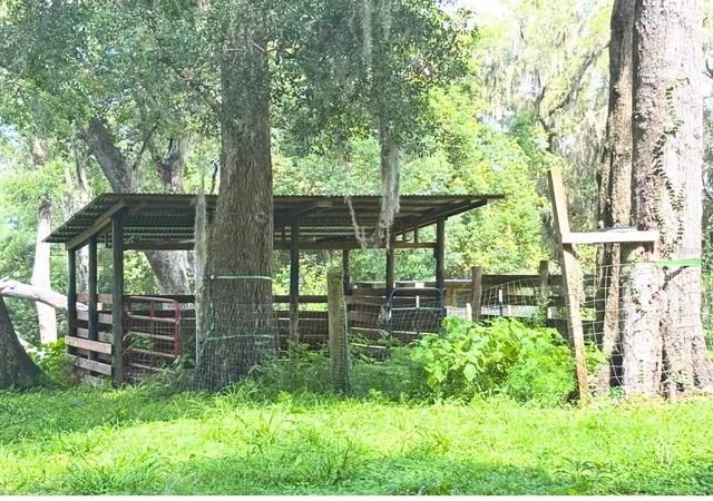 Photo 3 of Sale Pending at 2095 Stone Rd, Deland, FL 32720 | MLS# V4947257 | Listing updated on 2026-09-10
