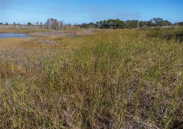 Photo 3 of Land for sale at No Address Assigned, Holiday, FL 34691 | MLS# W7883129 | Listing updated on 2026-09-15