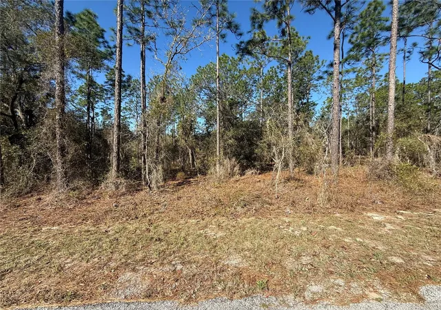 Photo 1 of Land for sale at Lot Se 13 129 Court, Dunnellon, FL 34431 | MLS# TB8483901 | Listing updated on 2026-09-14