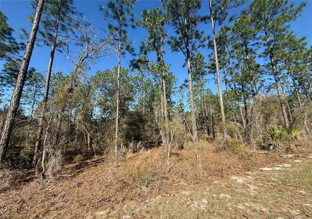 Photo 2 of Land for sale at Lot Se 13 129 Court, Dunnellon, FL 34431 | MLS# TB8483901 | Listing updated on 2026-09-14