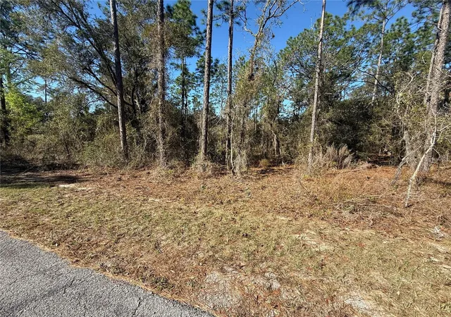 Photo 3 of Land for sale at Lot Se 13 129 Court, Dunnellon, FL 34431 | MLS# TB8483901 | Listing updated on 2026-09-14