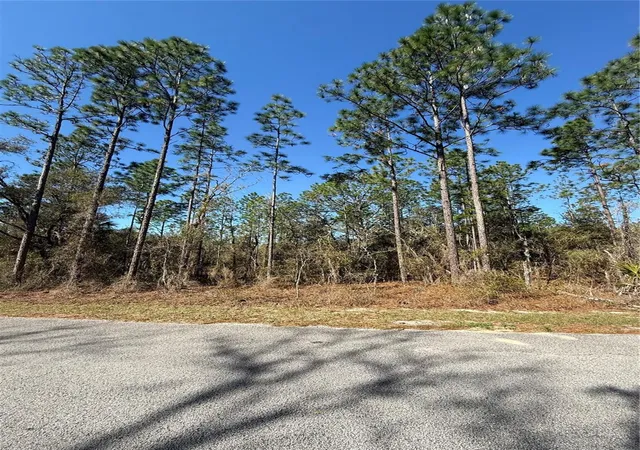 Photo 3 of Land for sale at Lot SE 13 129 Court, Dunnellon, FL 34431 | MLS# TB8483901 | Listing updated on 2026-09-14