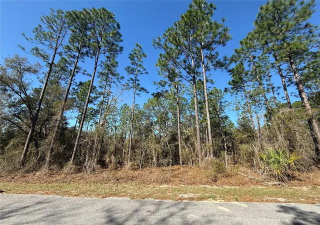 Photo 4 of Land for sale at Lot SE 13 129 Court, Dunnellon, FL 34431 | MLS# TB8483901 | Listing updated on 2026-09-14